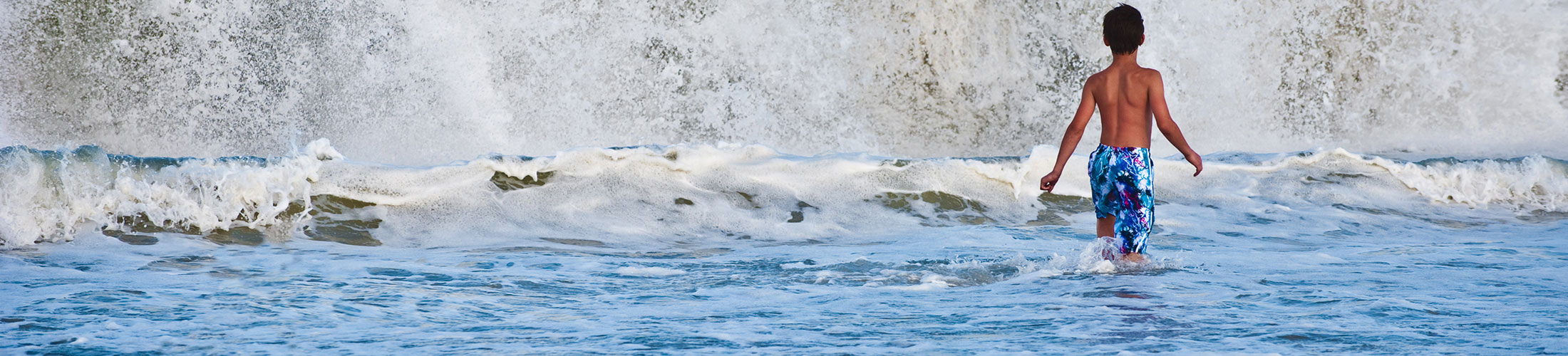 Header Image