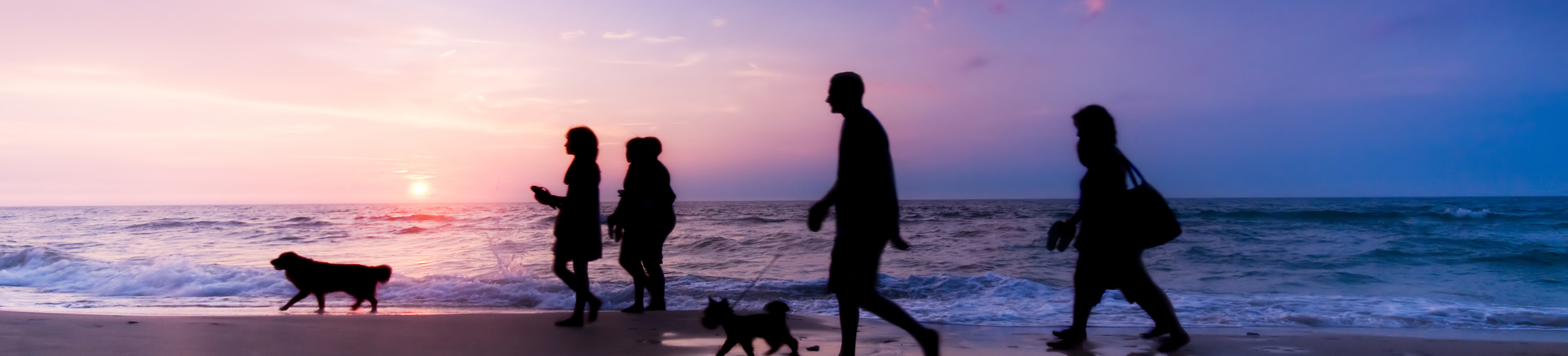 Header Image