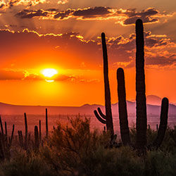 Arizona, Arizona